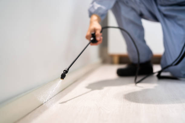 Licensed Fumigation Services service in Seagoville, TX - Nex Pest Control
