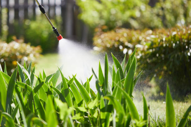 24/7 Emergency Fumigation Services experts in Seagoville, TX